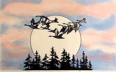 Flying Home